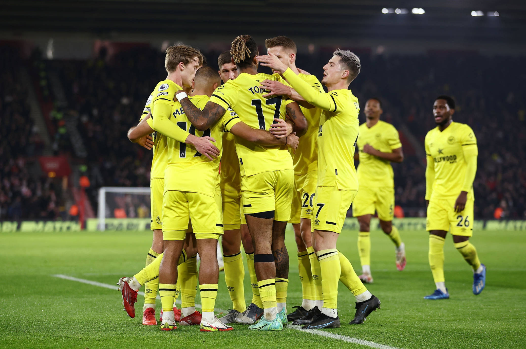 的出色外貌 的出色外貌